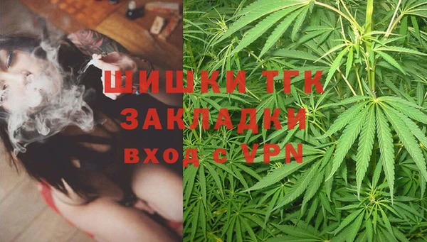 винт Дмитров